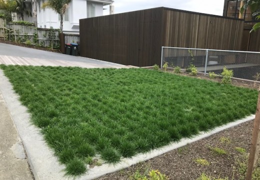 Greening the concrete jungle with Grasscrete™